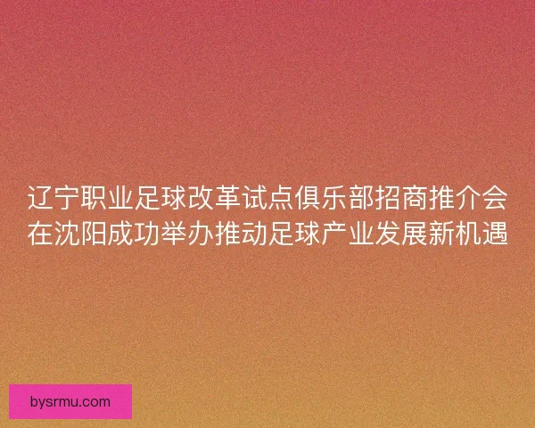 辽宁职业足球改革试点俱乐部招商推介会在沈阳成功举办推动足球产业发展新机遇